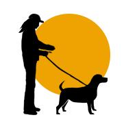 Dog walking icon with sun